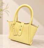 Sac a main Élégant - Mini Sac Structuré